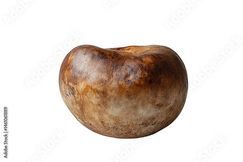 Obraz na płótnie Isolated brown buckeye nut