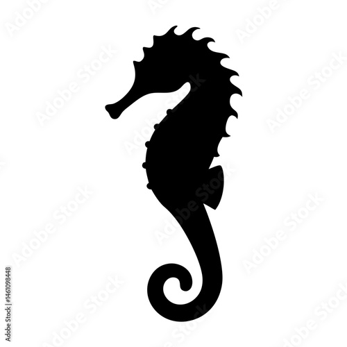 Black silhouette of a seahorse on a white background side view