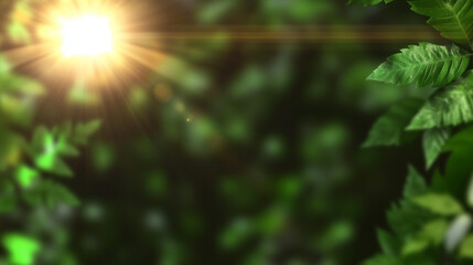 Spring green foliage border with a blurred sunlight background, a nature and fresh concept for banner design. Green leaves in the sunlight, a nature and spring concept.