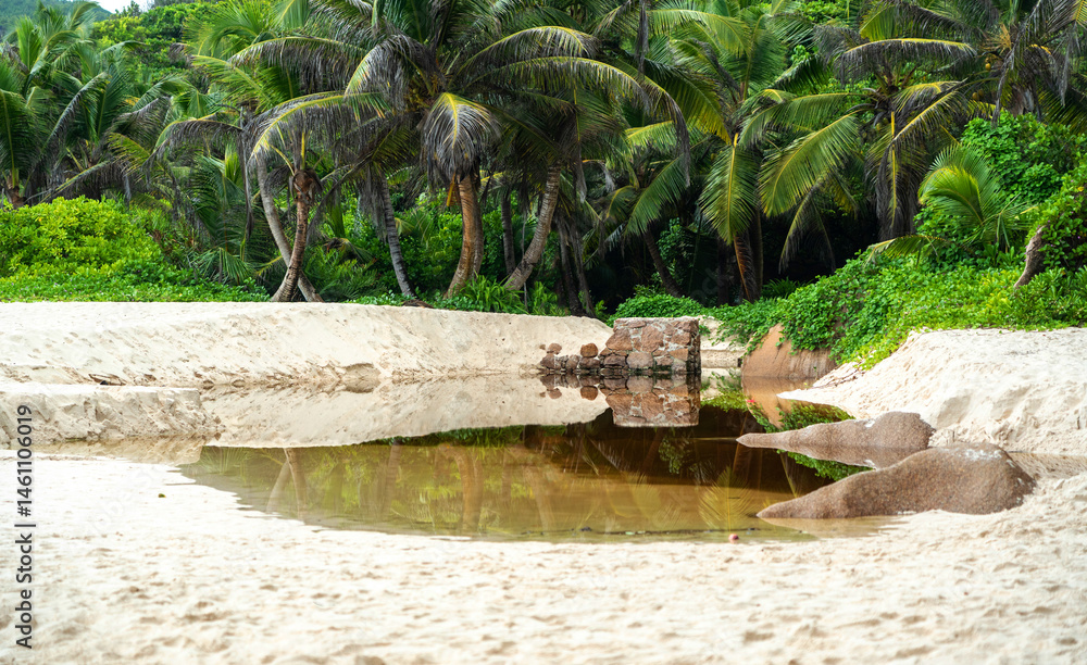 A small freshwater lake formed by a stream lies on a white sandy beach on a tropical Seychelles