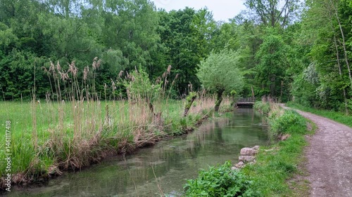 Spring landscape with green fields and distant forest, Germany, Augsburg, Haunstetten, 7 May 2025

