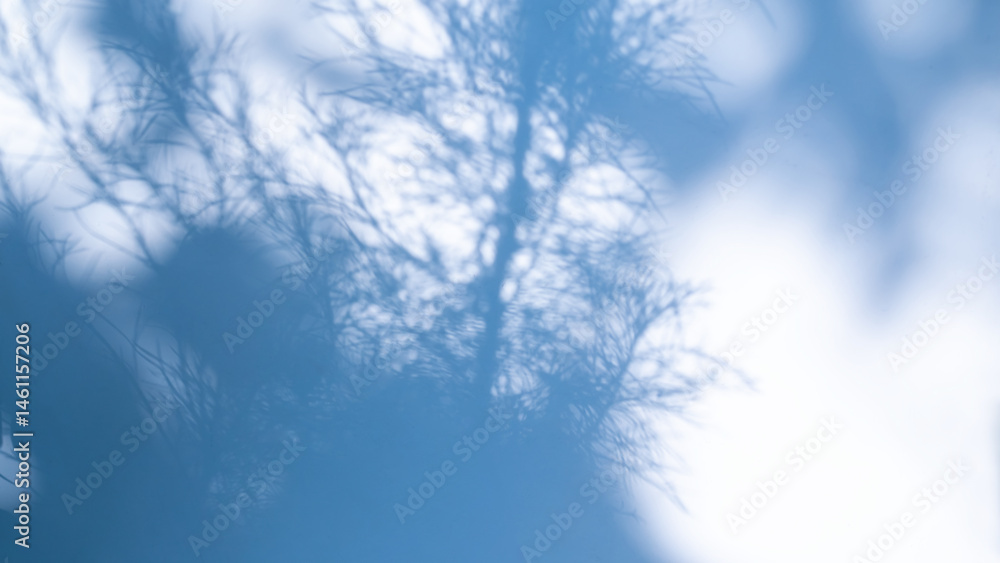 Wall shadow summer blue indigo background light blue gradient abstract floor blur cement pastel overlay minimal for presentation product cosmetic aesthetics beauty, platform backdrop room mockup Wall shadow summer blue indigo background light blue gradient abstract floor blur cement pastel overlay minimal for presentation product cosmetic aesthetics beauty, platform backdrop room mockup