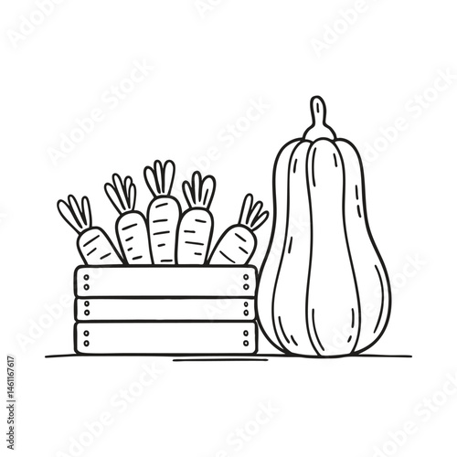 A squash beside a bunch of carrots in a crate