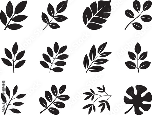 Black silhouette leaves vector collection foliage design natural elements