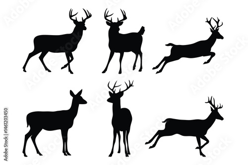 Mule Deer Silhouettes

