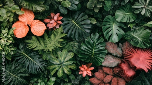 Wallpaper Mural Captivating display of tropical foliage showcasing an array of lush green leaves paired with bright red and orange plants in a vibrant arrangement Torontodigital.ca
