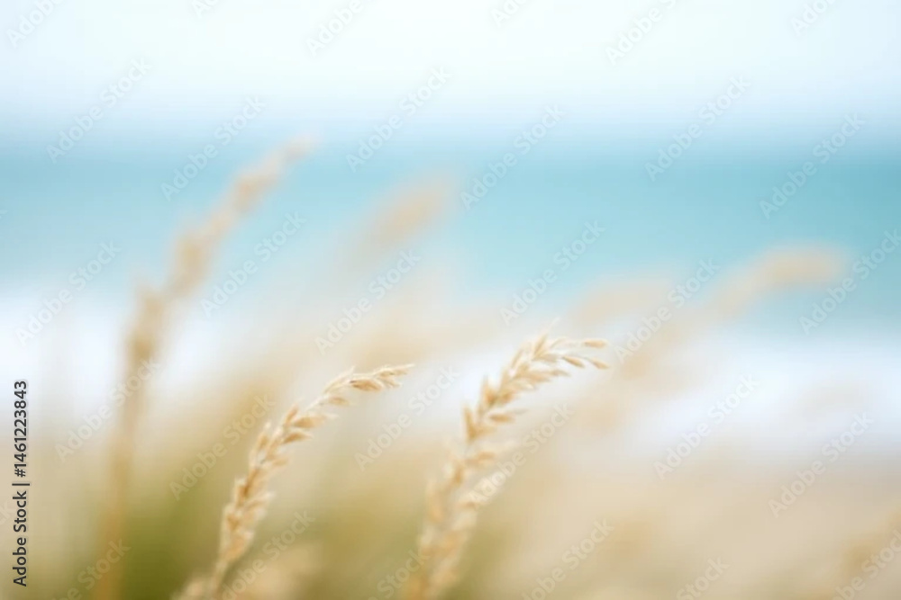 Fototapeta premium close up of wheat field