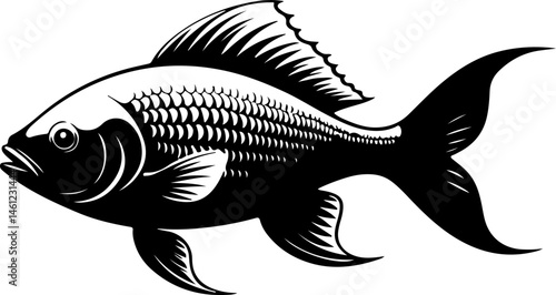 fish on a white background