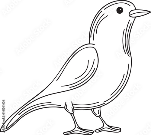 A lone bird stands gracefully on a white surface.