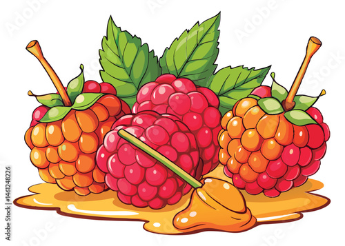 Colorful raspberries and honey drips.