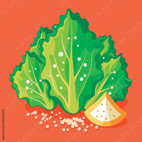 Fresh green lettuce with seeds.