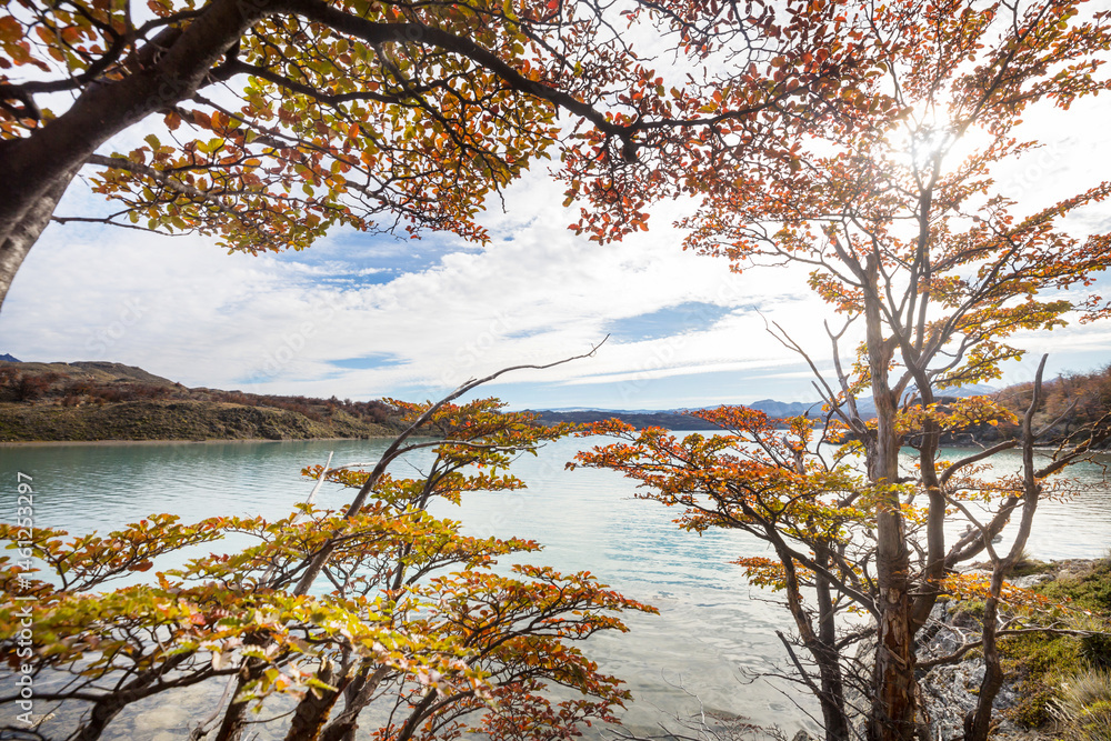Autumn lake