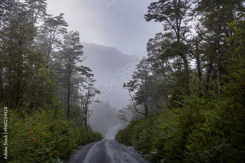 Obraz na płótnie Forest in South Chile w salonie
