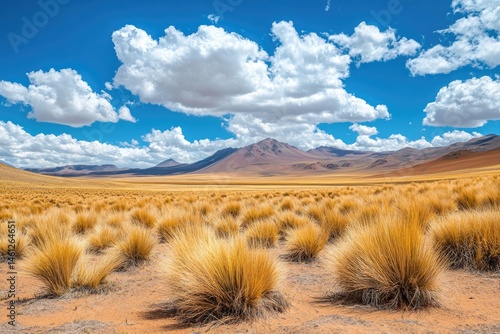 Obraz na płótnie Expansive high-altitude desert landscape under a vibrant sky w salonie