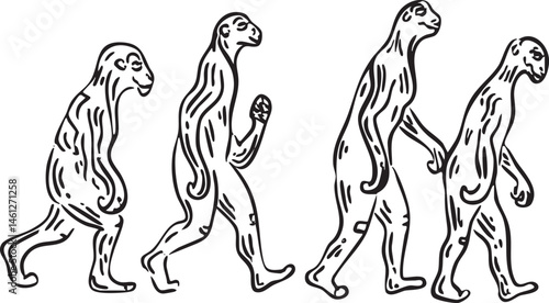 Four figures illustrate human evolutionary progression.