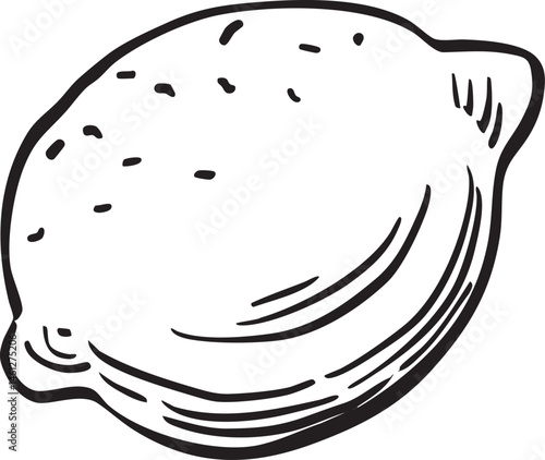 A single lemon with detailed texture.