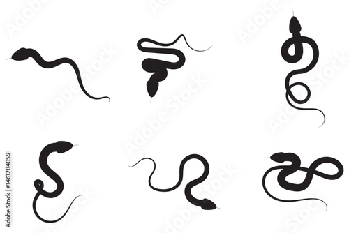 snake graphic icon snake black silhouette isolate vector . 