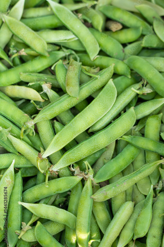 fresh green pea pods background