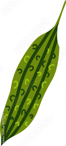 Bitter Melon, Fresh Vegetable Flat Illustration