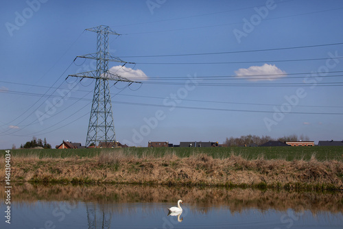 Obraz na płótnie Łabędź niemy (Cygnus olor) na jeziorze na tle słupów energetycznych w salonie