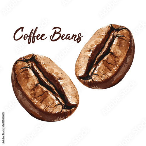 coffee beans in watercolor illustration style, isolated vector on white background
