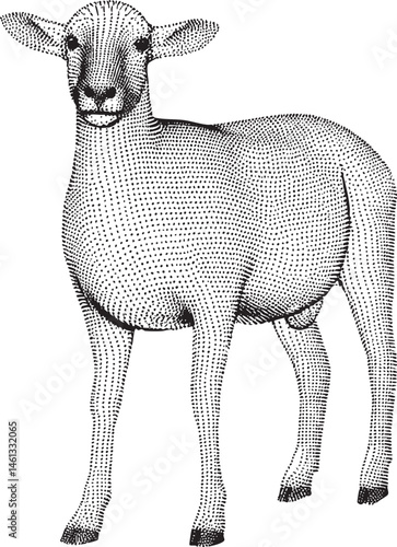 A young lamb stands attentively gazing forward with a gentle expression.