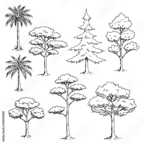 Diverse architectural tree line drawings in side view, minimal hand-drawn style for CAD drafting, landscape architecture, and professional site plan rendering

