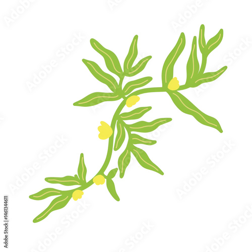 vector of vines, illustration of flowering plants.