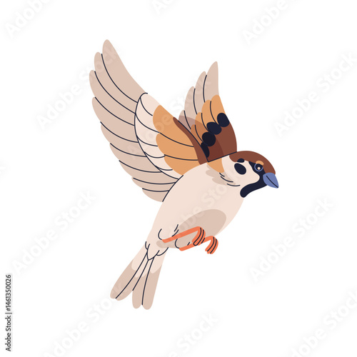 Sparrow bird flying with wings spread in flight. Small little wild animal in air, movement. Birdie soaring, hovering. Passer domesticus. Flat vector illustration isolated on white background