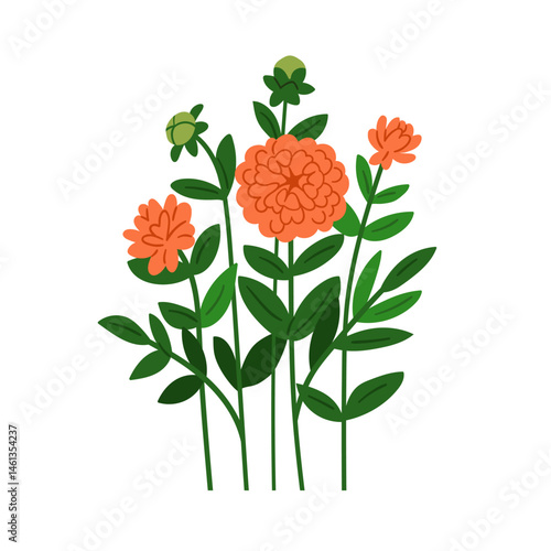 Flower blossoms, garden plant branch with leaf. Beautiful dahlias blooms, stems and leaves, spring buds and foliage. Floral botanical flat vector illustration isolated on white background