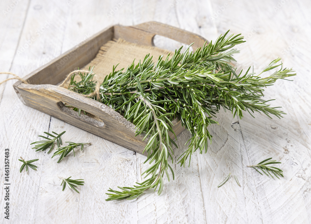 Fresh green rosemary sprigs in a tray on white rustic table closeup. Aromatic herb for culinary