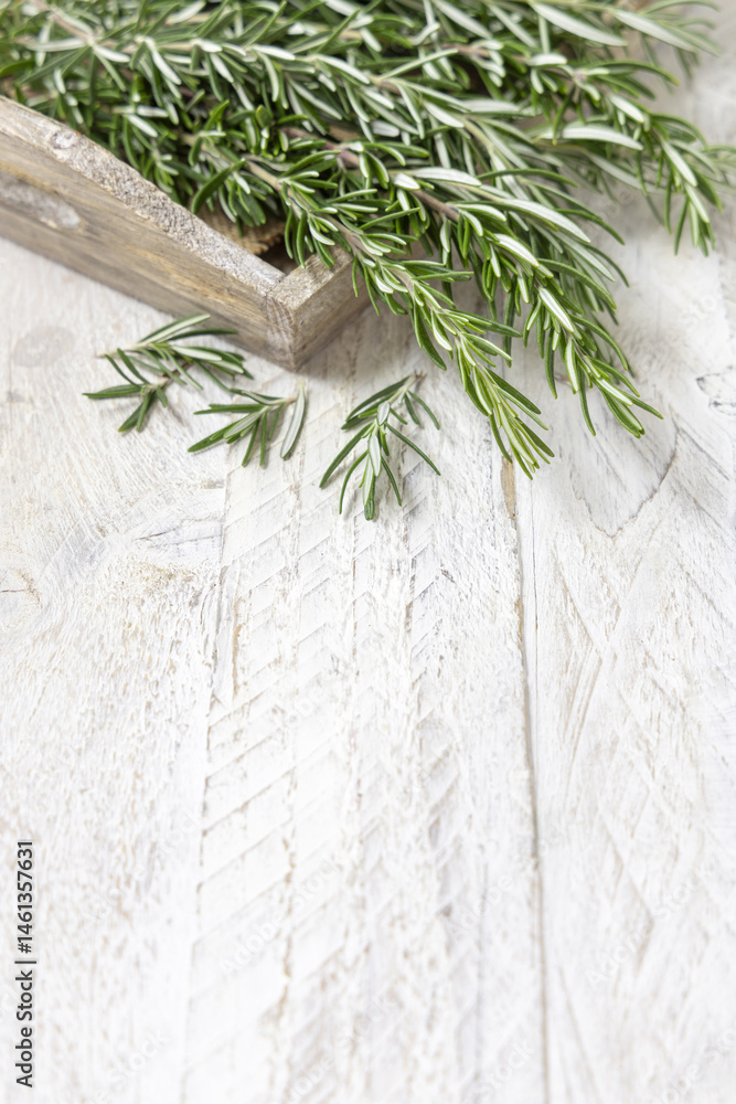 Fresh green rosemary sprigs in a tray on white rustic table closeup. Aromatic herb for culinary