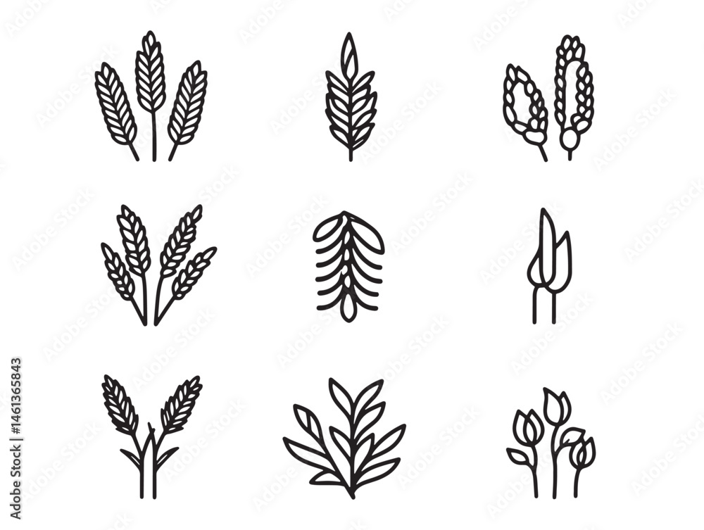 vector buckwheat food line art for cooking themed graphics vector buckwheat food line art for cooking themed graphics