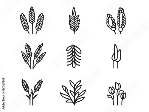 vector buckwheat food line art for cooking themed graphics