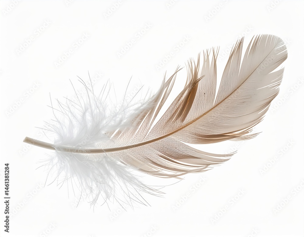 Fototapeta premium A delicate white feather on pristine white background, study in minimalist composition and texture