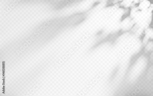 Abstract shadow overlay from foliage on a transparent background.