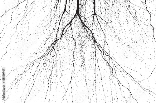 A dense network of interconnected lines creates a complex branching