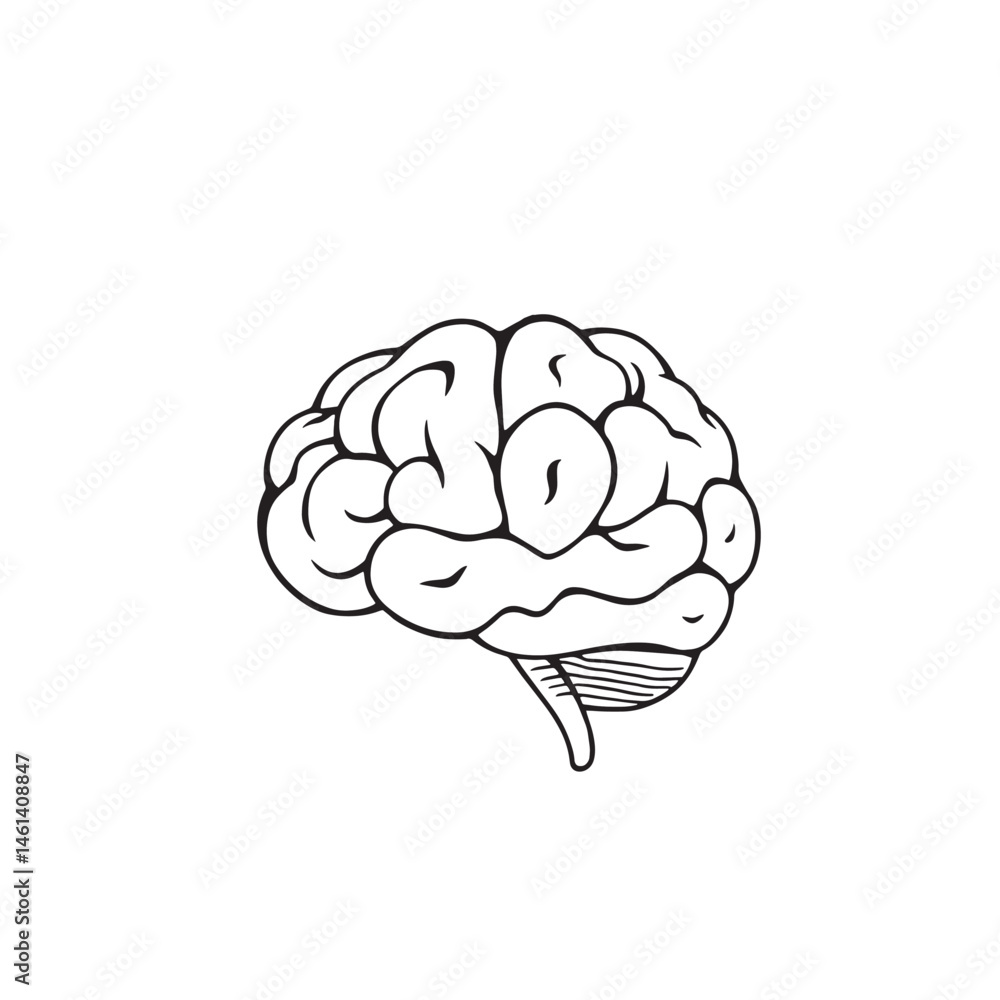 Human Brain Line Art Vector Illustration Human Brain Line Art Vector Illustration