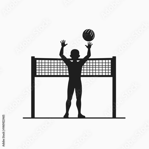 volleyball player silhouette with net