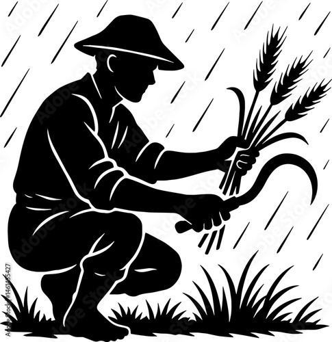 . Harvesting in the Rain: A Farmer’s Enduring Spirit