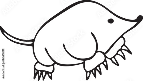 A playful dachshund walks confidently across a white surface.