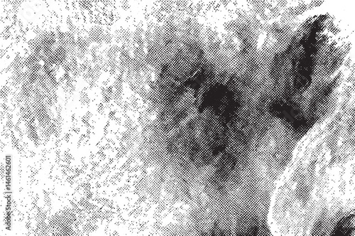 A grayscale portrait of a dog resting peacefully on a textured surface.