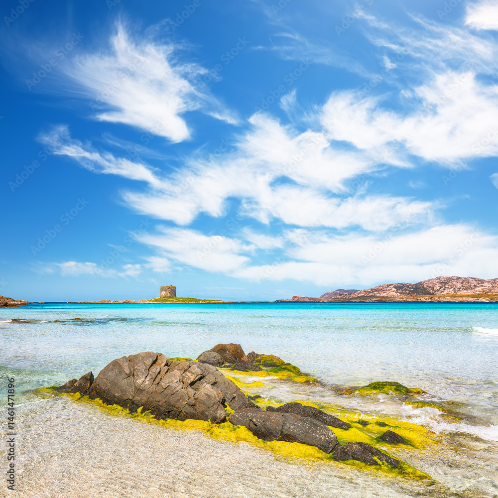 Unbelivable morning view of famous La Pelosa beach and rocky shore near Torre della Pelosa