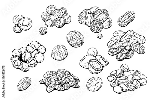 Mixed nuts collection in black and white line art