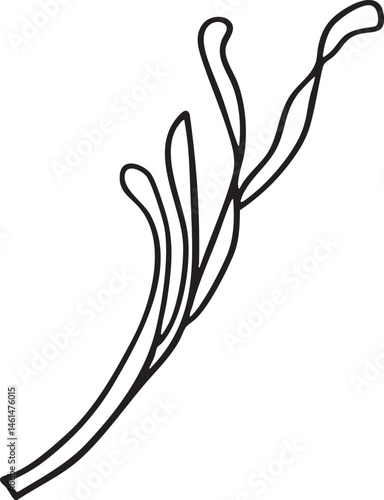 A single elegant branch gracefully curves upwards against a white background.