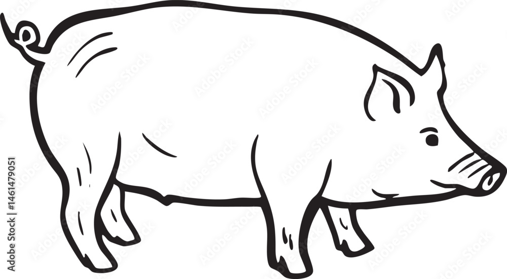 A solitary pig stands attentively in a field. A solitary pig stands attentively in a field.