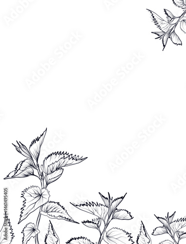 Decorative nettle floral border with leaves vector
