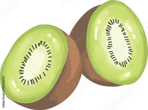 kiwi fruit on white background