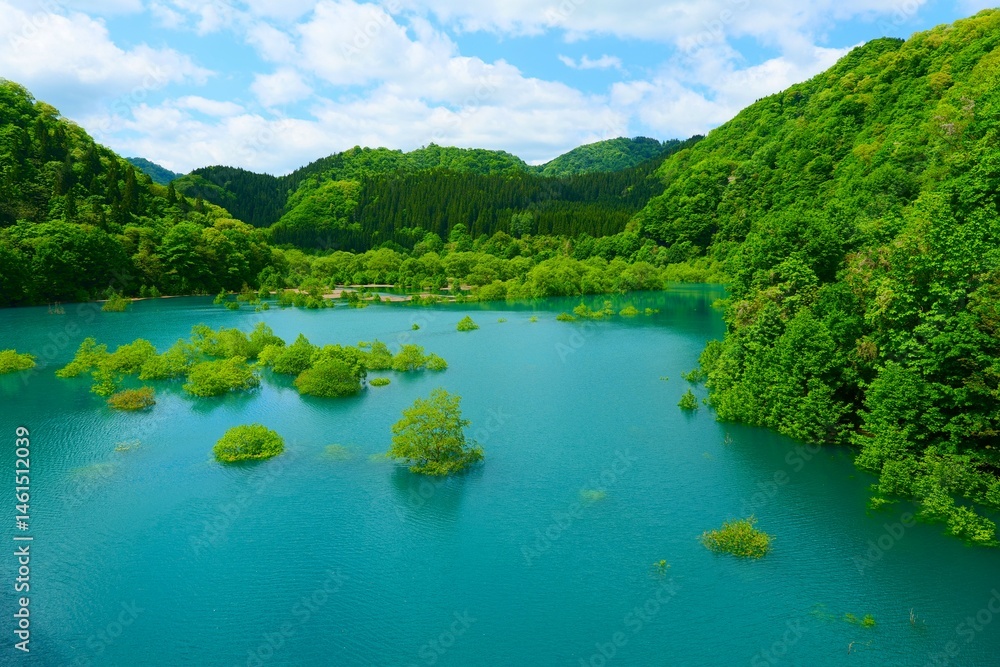 秋扇湖の水没林。仙北、秋田、日本。5月下旬。
