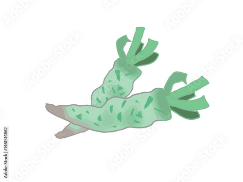 Illustration of freshly harvested wasabi